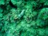 dsc02512_small.jpg