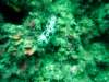 dsc02513_small.jpg