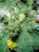 dsc02514_small.jpg