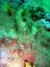 dsc02516_small.jpg