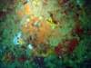 dsc02517_small.jpg