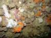 dsc02519_small.jpg