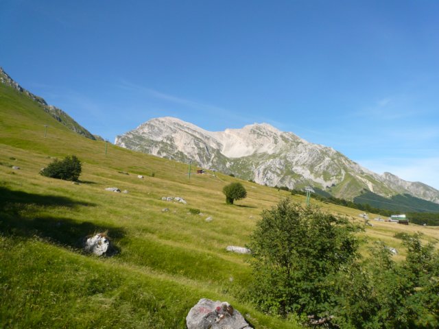 p1030075.jpg