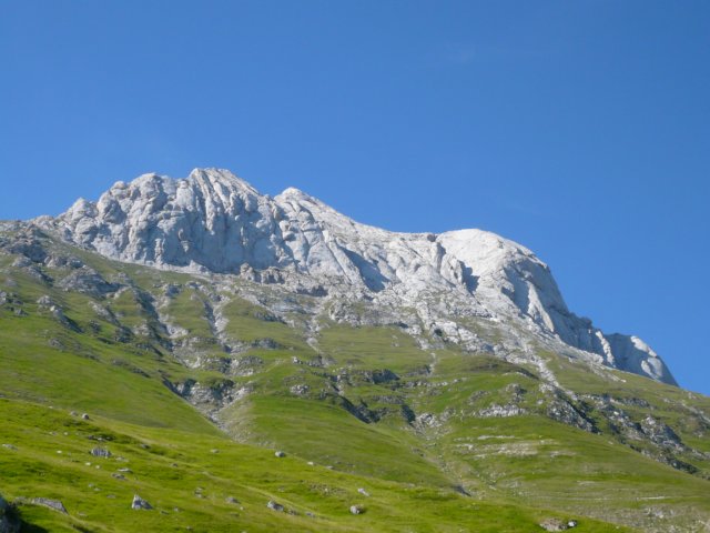 p1030076.jpg