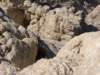dsc02594_small.jpg