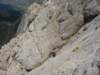 dsc02608_small.jpg