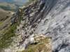 dsc02613_small.jpg