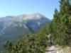 dsc02636_small.jpg