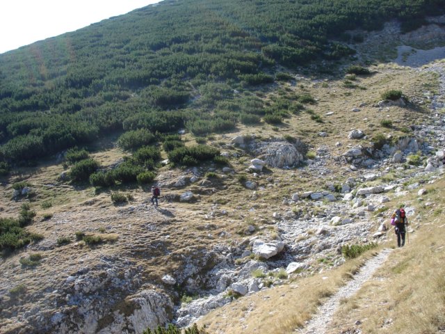 dsc02637.jpg