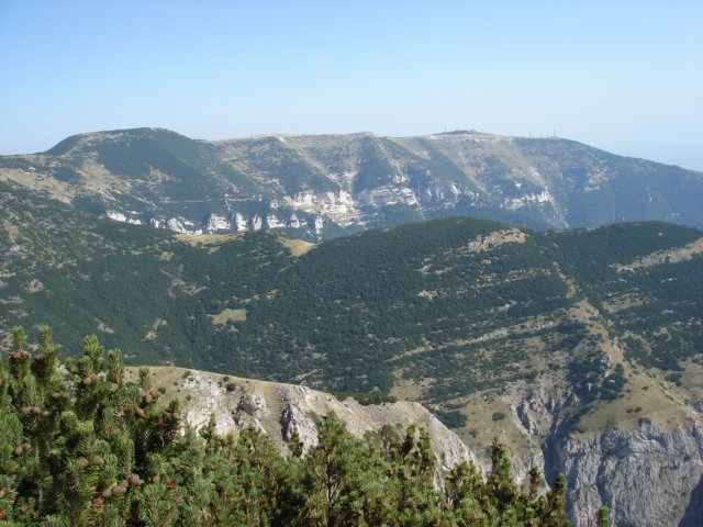 dsc02639.jpg