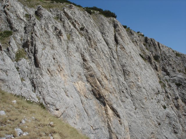 dsc02643.jpg
