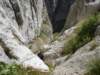 dsc02648_small.jpg