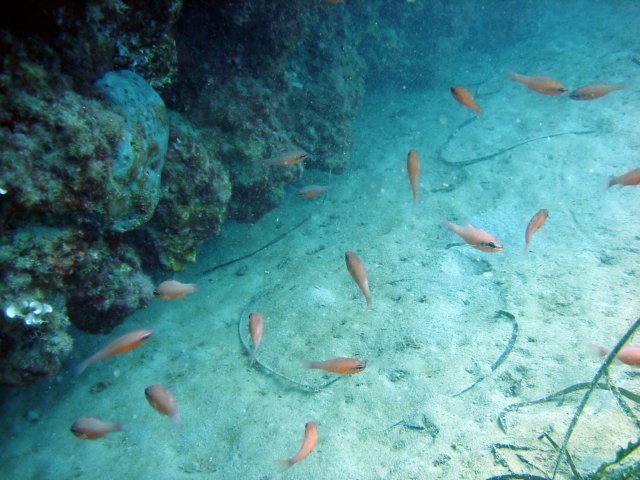 dsc02672.jpg