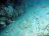 dsc02672_small.jpg