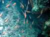 dsc02674_small.jpg
