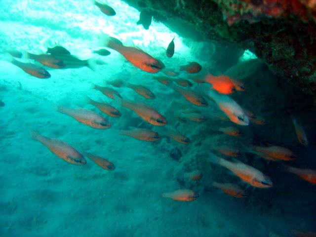 dsc02677.jpg