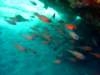 dsc02677_small.jpg