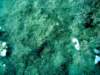 dsc02678_small.jpg