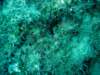 dsc02679_small.jpg