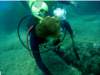 dsc02680_small.jpg