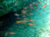 dsc02684_small.jpg