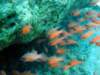 dsc02685_small.jpg