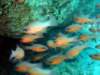 dsc02686_small.jpg