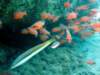 dsc02687_small.jpg
