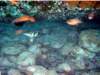dsc02688_small.jpg