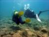 dsc02689_small.jpg