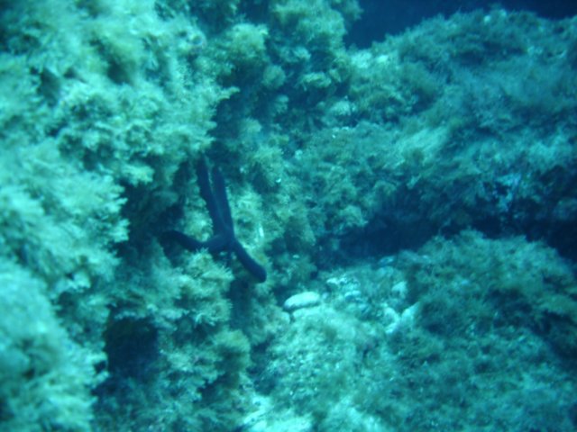 dsc02693.jpg