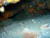 dsc02695_small.jpg