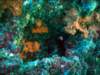 dsc02697_small.jpg