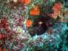 dsc02698_small.jpg