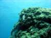 dsc02700_small.jpg