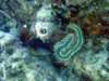 dsc02707_small.jpg