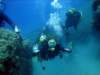 dsc02708_small.jpg