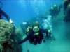 dsc02709_small.jpg