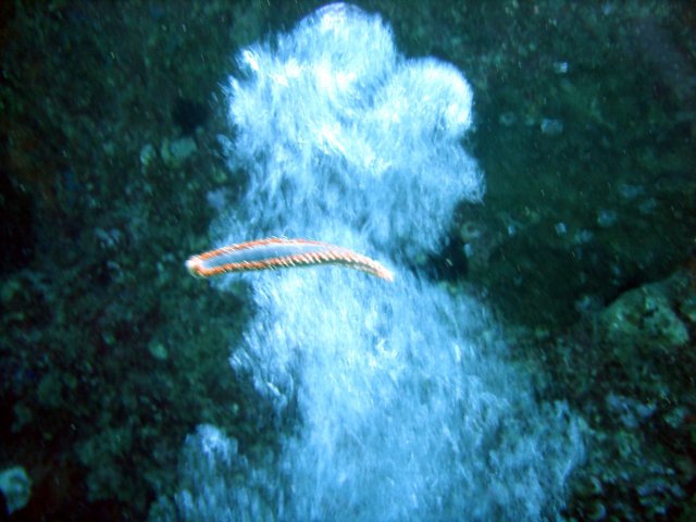 dsc02710.jpg