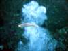 dsc02710_small.jpg