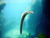 dsc02711_small.jpg