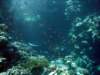 dsc02725_small.jpg