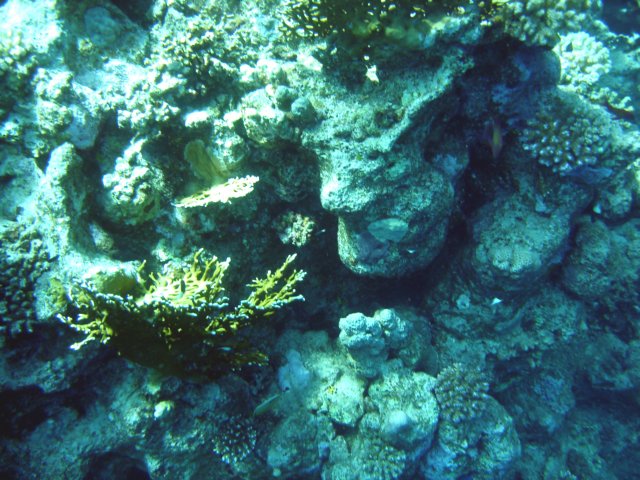 dsc02726.jpg