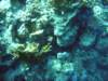 dsc02726_small.jpg