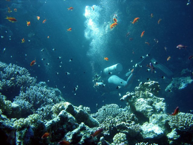 dsc02727.jpg