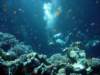 dsc02727_small.jpg