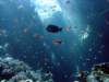 dsc02728_small.jpg