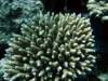 dsc02729_small.jpg