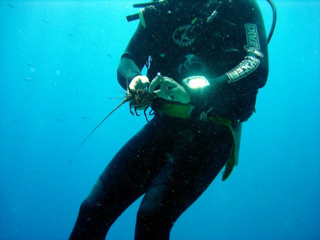 dsc02735.jpg