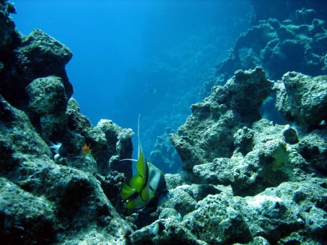 dsc02738.jpg